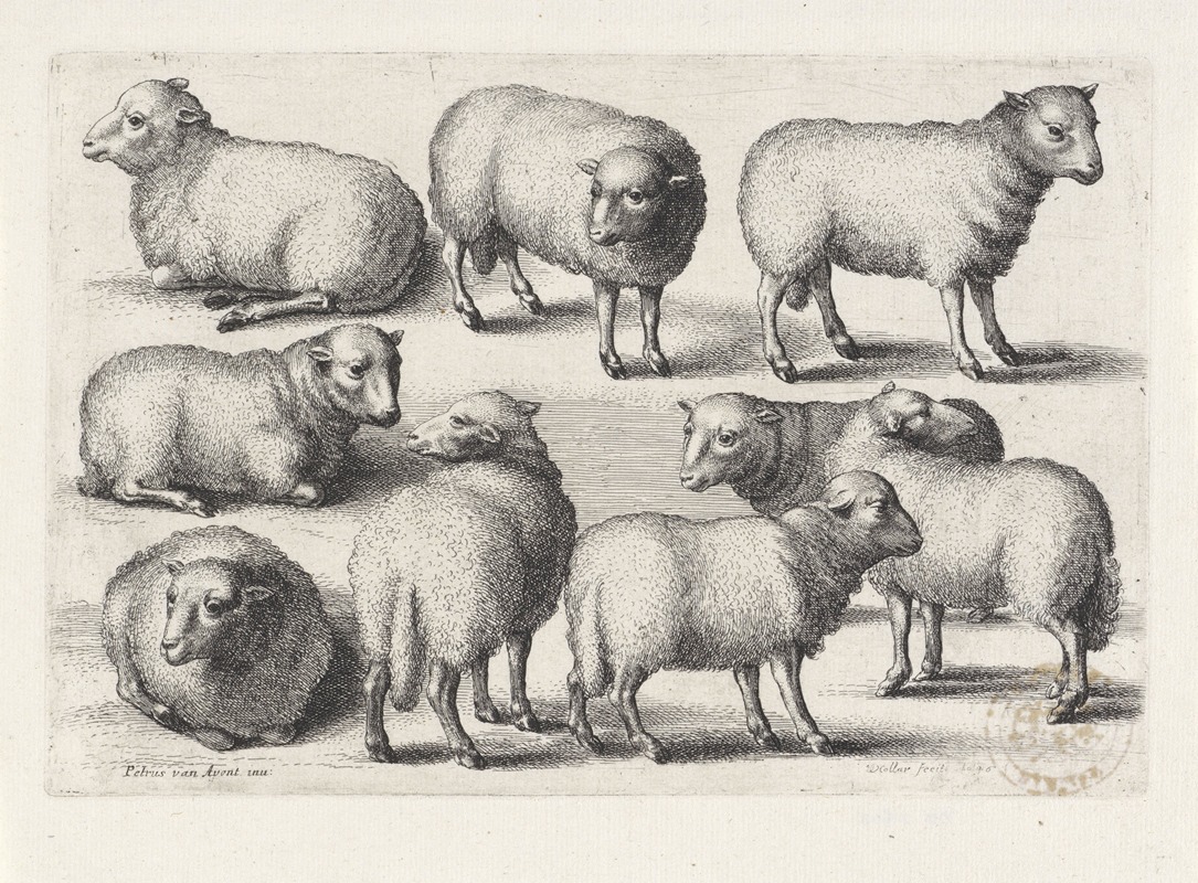 Nine sheep in a field by Венцеслав Голлар, 1646 — digital art print download