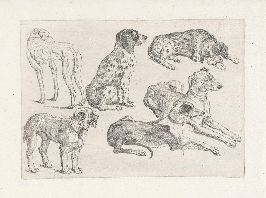 Six hunting dogs by Венцеслав Голлар, 1646 — digital art print download