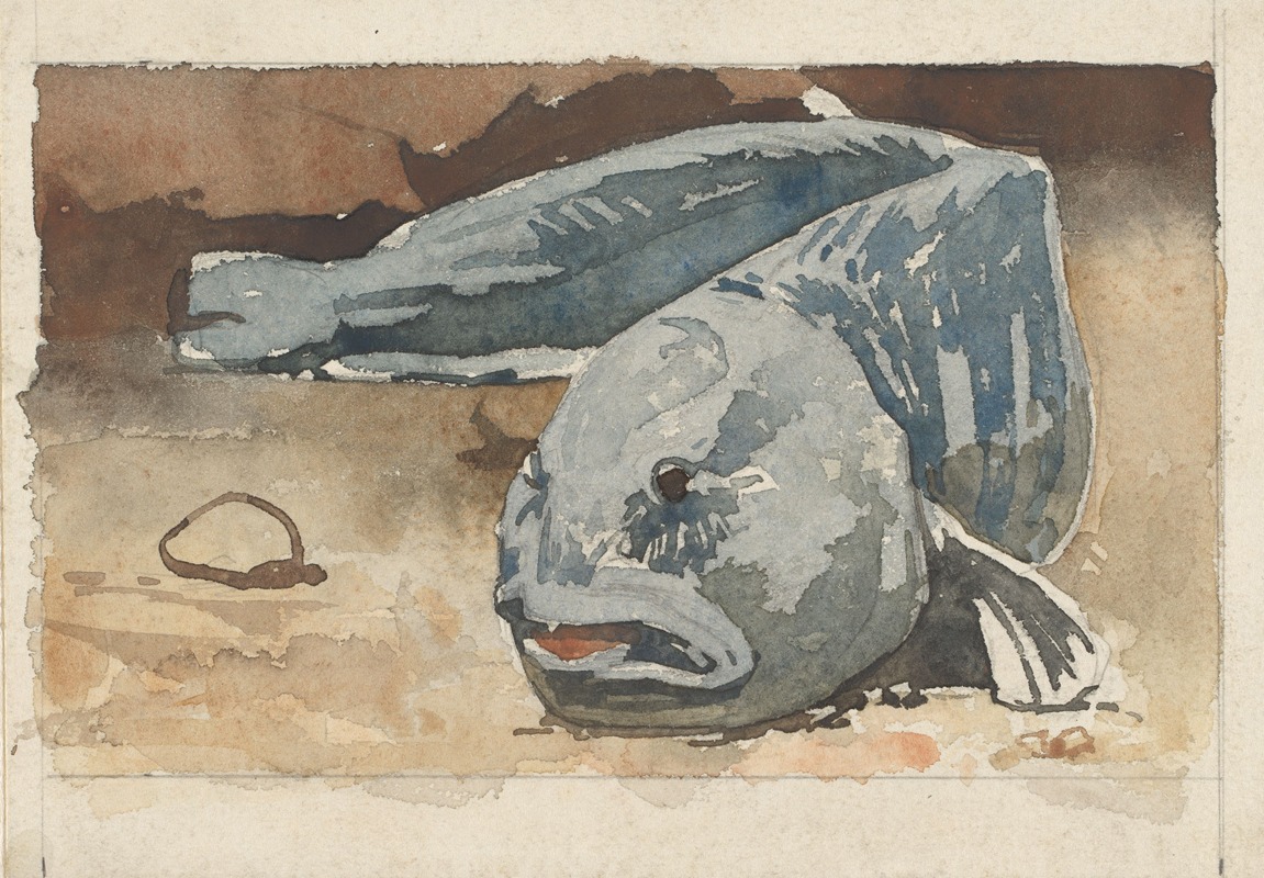 Vis by Виллем Витсен, 1870-1923 — digital art print download