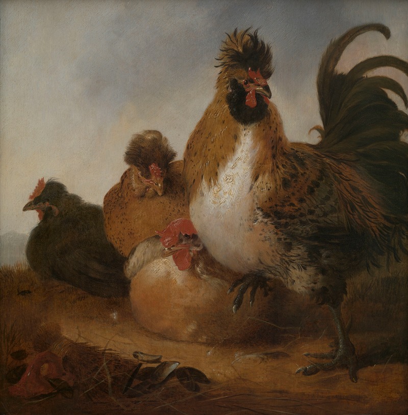 Cock and Hens by Аельберт Кёйп, 1650 — digital art print download