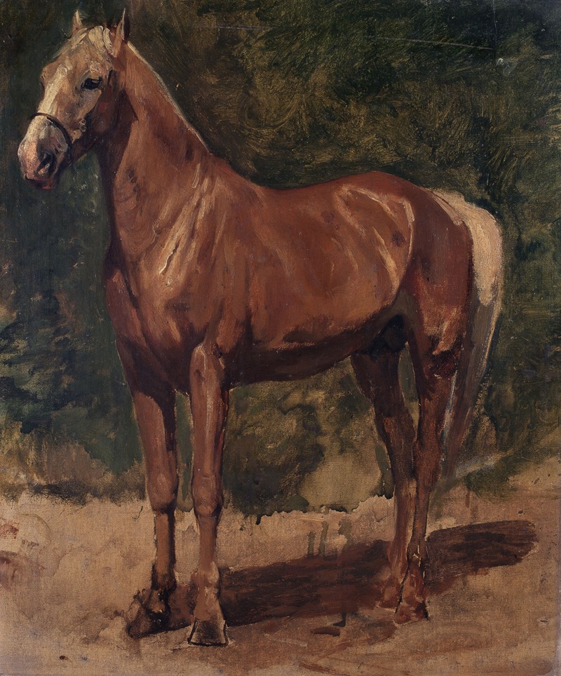 Study of a Horse by Alfred Verwee — digital art print download