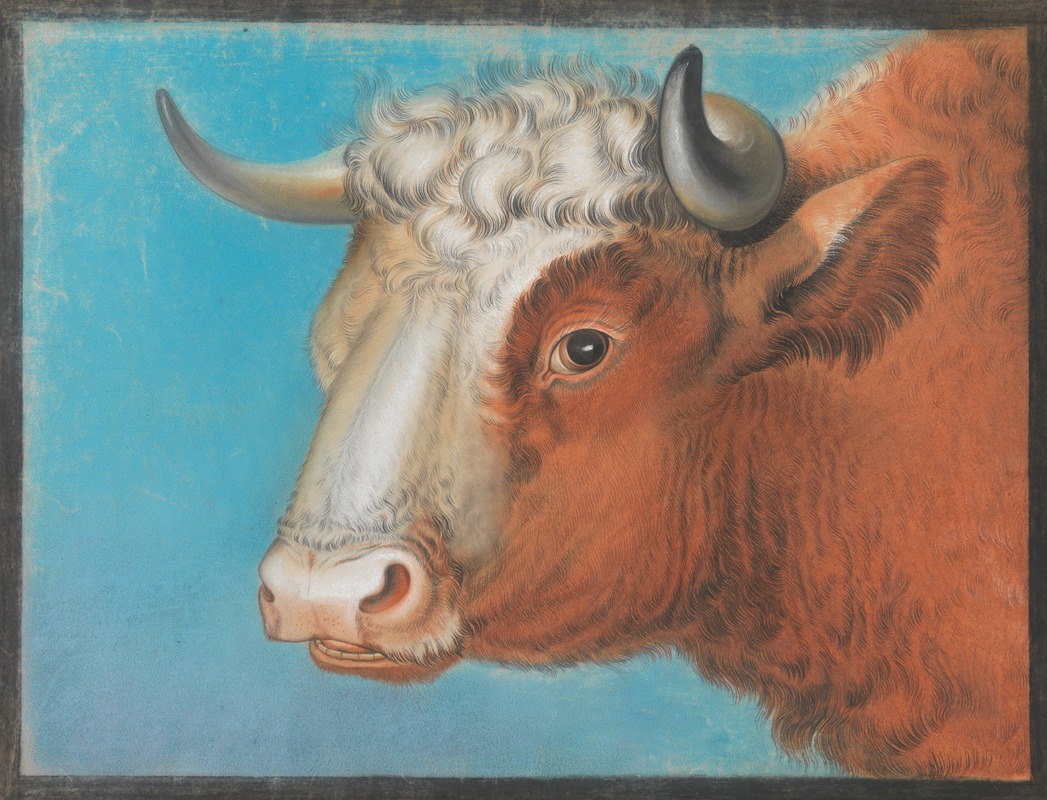 Bull's head by Eugène Joseph Verboeckhoven — digital art print download