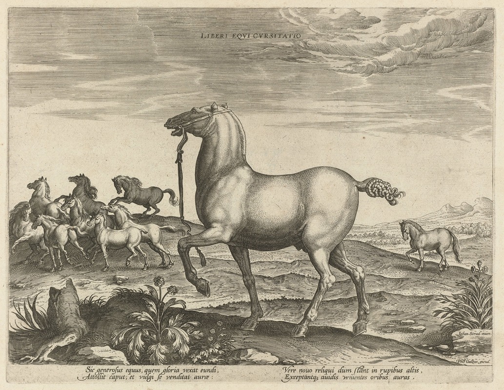 Liberi Eqvi cvrsitatio by Jan Collaert the Elder, 1578 - 1582 — digital art print download