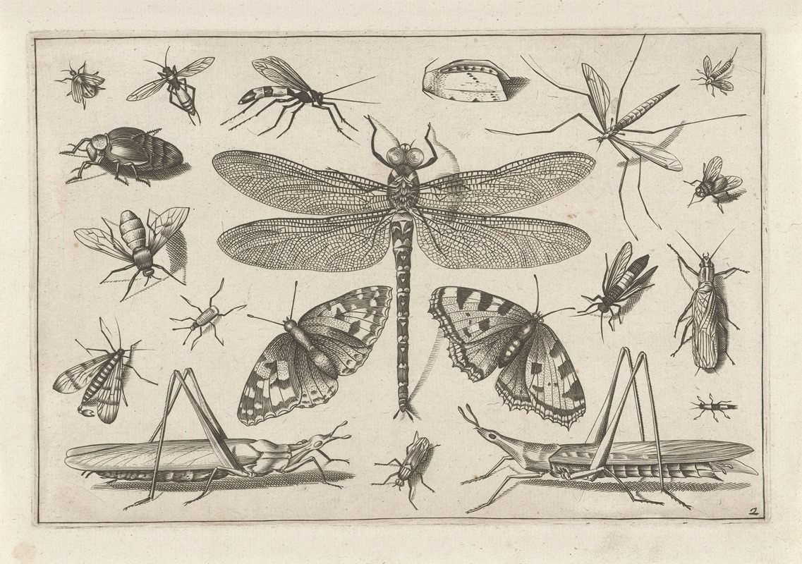 Diversae Insectarum Volatilium Pl.02 by Jacob Hoefnagel, 1630 — digital art print download