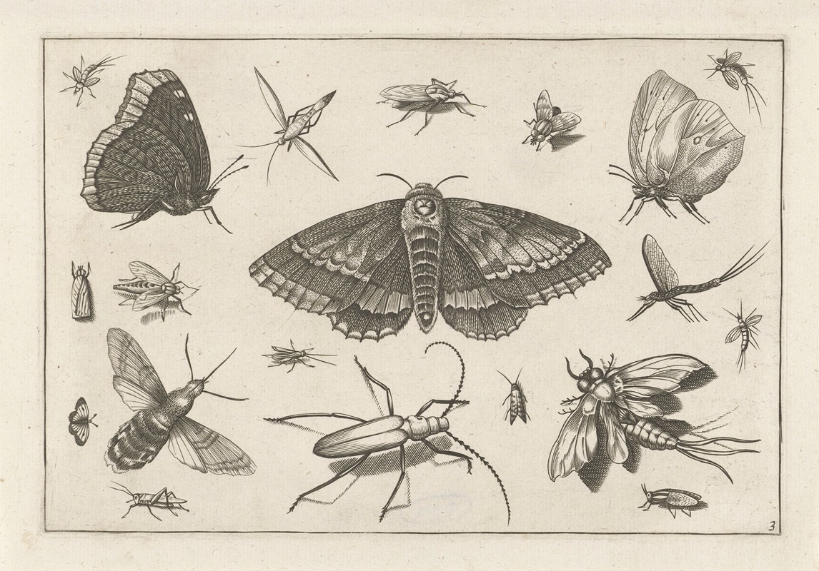 Diversae Insectarum Volatilium Pl.03 by Jacob Hoefnagel, 1630 — digital art print download