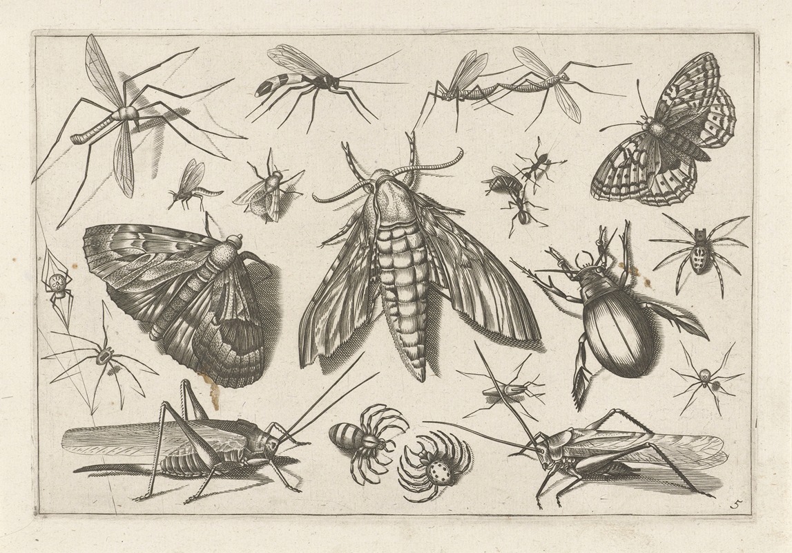 Diversae Insectarum Volatilium Pl.05 by Jacob Hoefnagel, 1630 — digital art print download