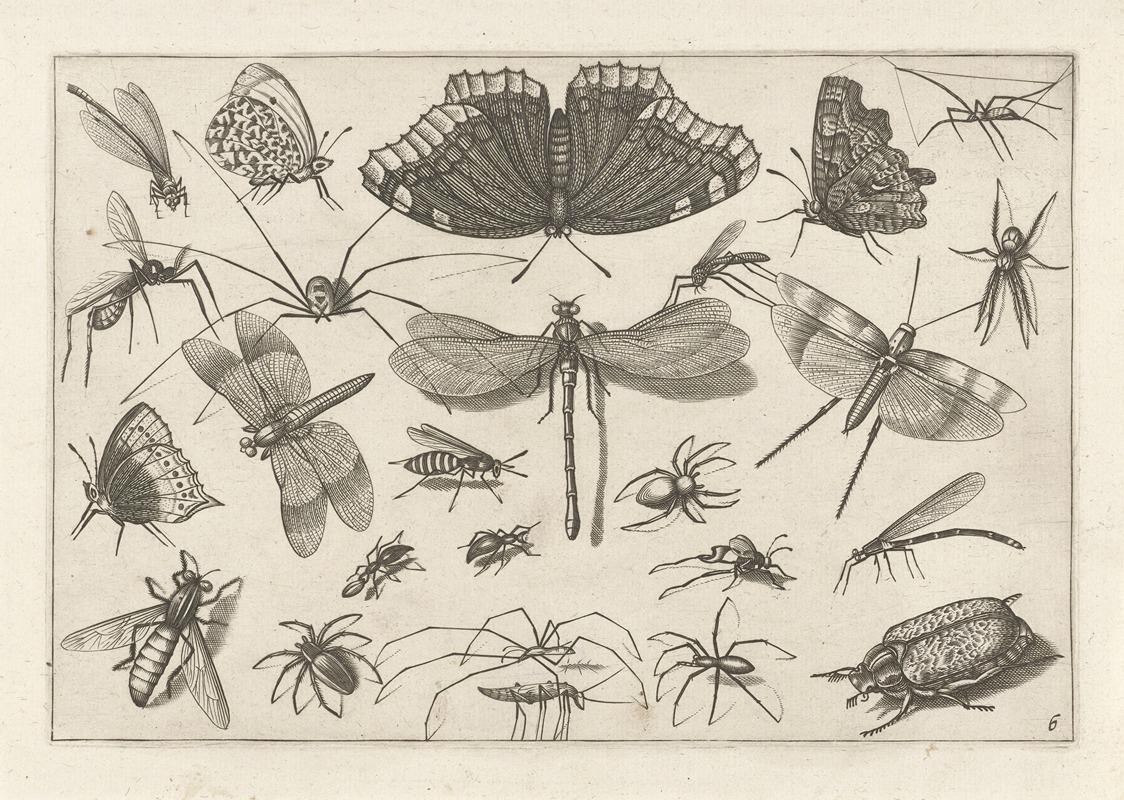 Diversae Insectarum Volatilium Pl.06 by Jacob Hoefnagel, 1630 — digital art print download