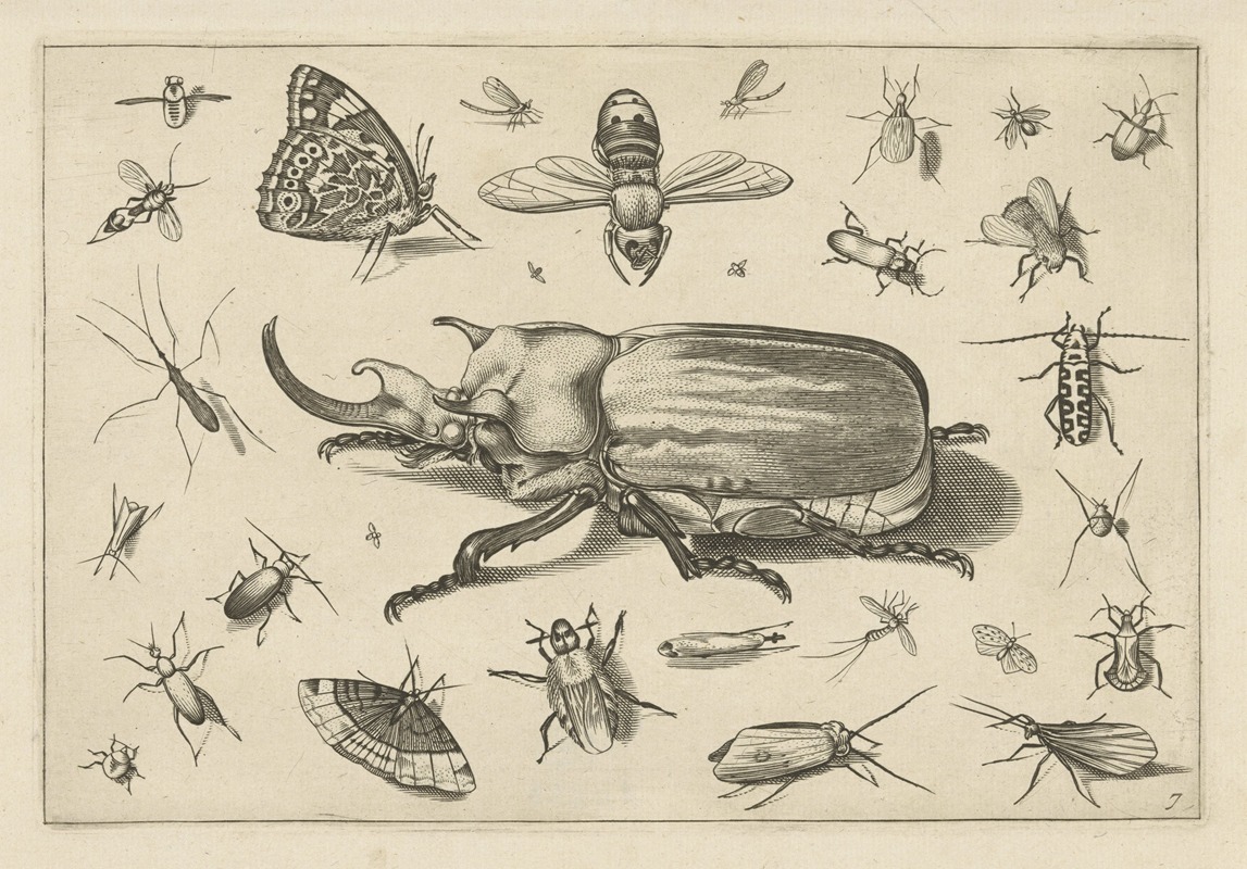Diversae Insectarum Volatilium Pl.07 by Jacob Hoefnagel, 1630 — digital art print download