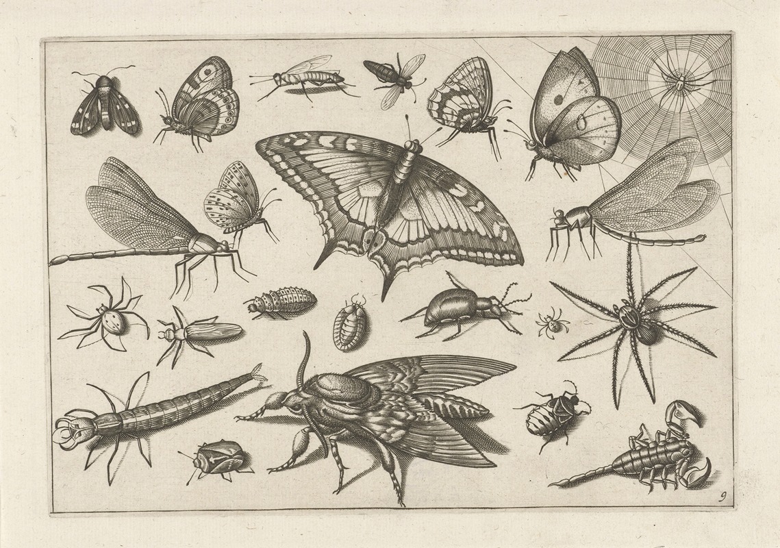 Diversae Insectarum Volatilium Pl.09 by Jacob Hoefnagel, 1630 — digital art print download
