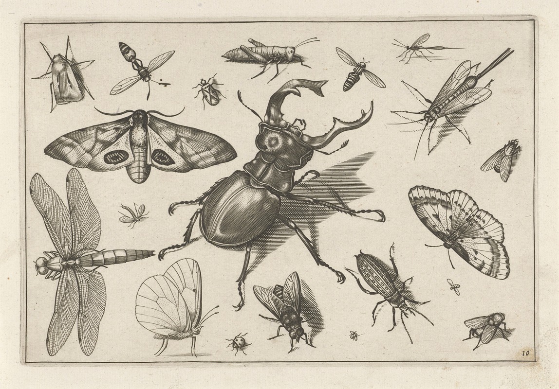 Diversae Insectarum Volatilium Pl.10 by Jacob Hoefnagel, 1630 — digital art print download