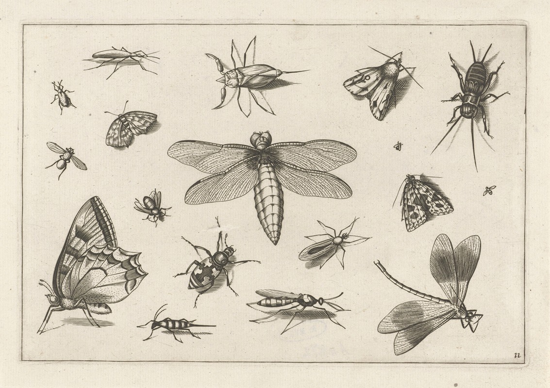 Diversae Insectarum Volatilium Pl.11 by Jacob Hoefnagel, 1630 — digital art print download