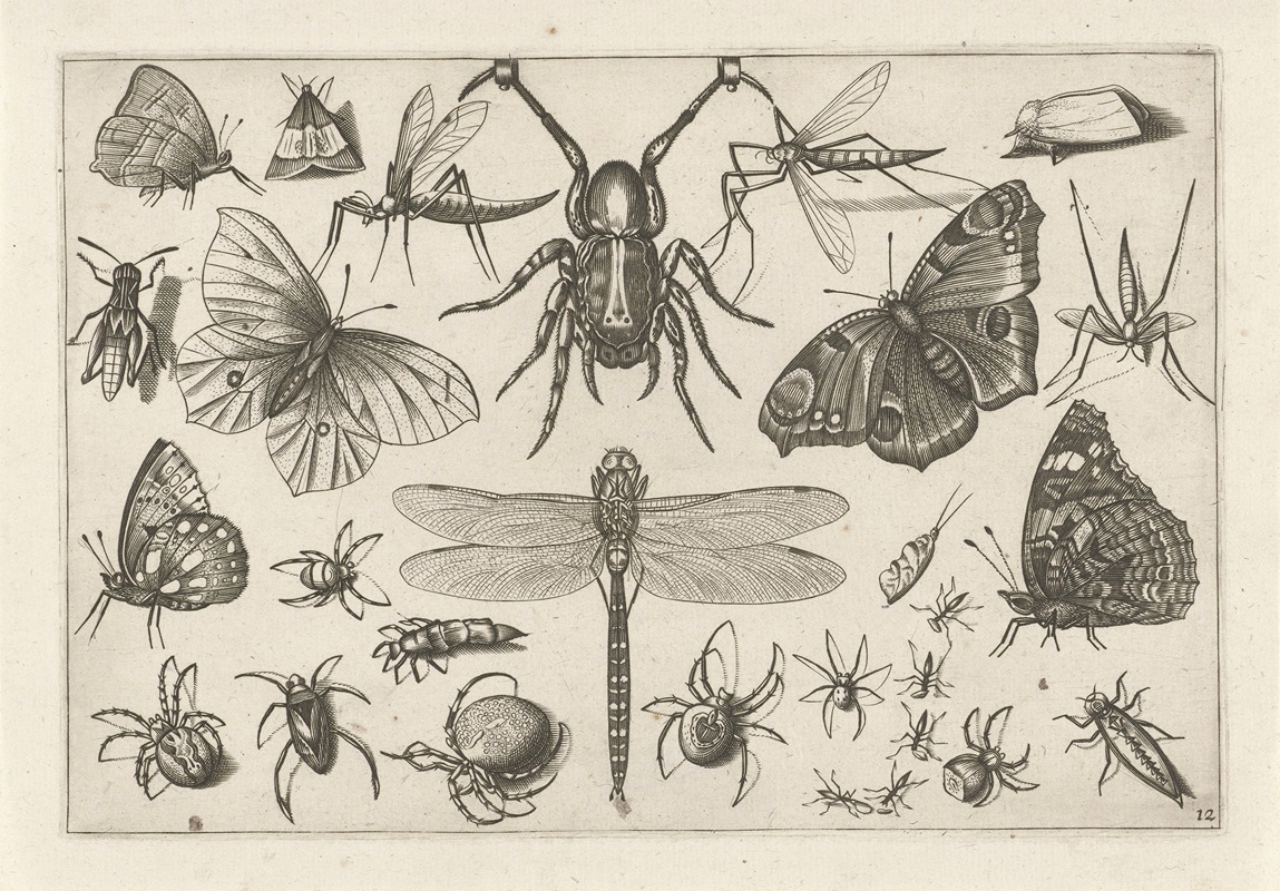 Diversae Insectarum Volatilium Pl.12 by Jacob Hoefnagel, 1630 — digital art print download