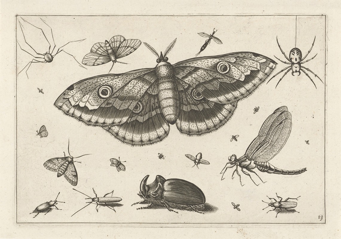 Diversae Insectarum Volatilium Pl.13 by Jacob Hoefnagel, 1630 — digital art print download