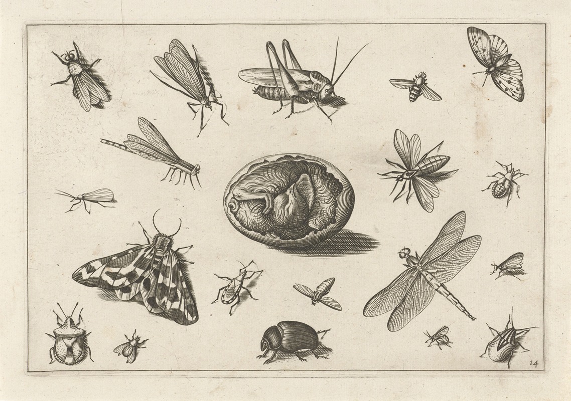 Diversae Insectarum Volatilium Pl.14 by Jacob Hoefnagel, 1630 — digital art print download