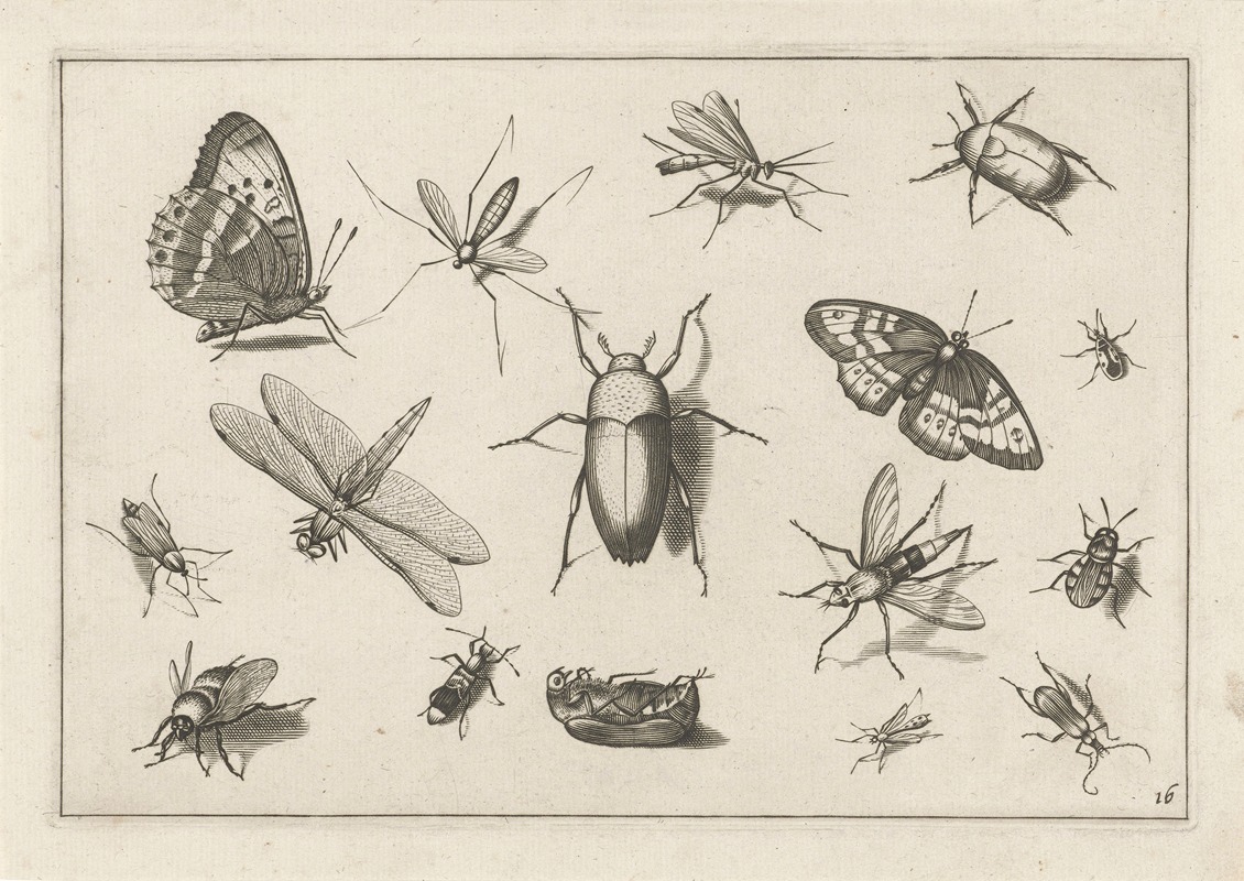 Diversae Insectarum Volatilium Pl.16 by Jacob Hoefnagel, 1630 — digital art print download