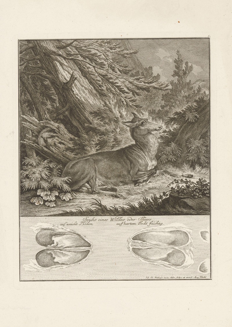 Hert met spoor by Johann Elias Ridinger, 1751 — digital art print download