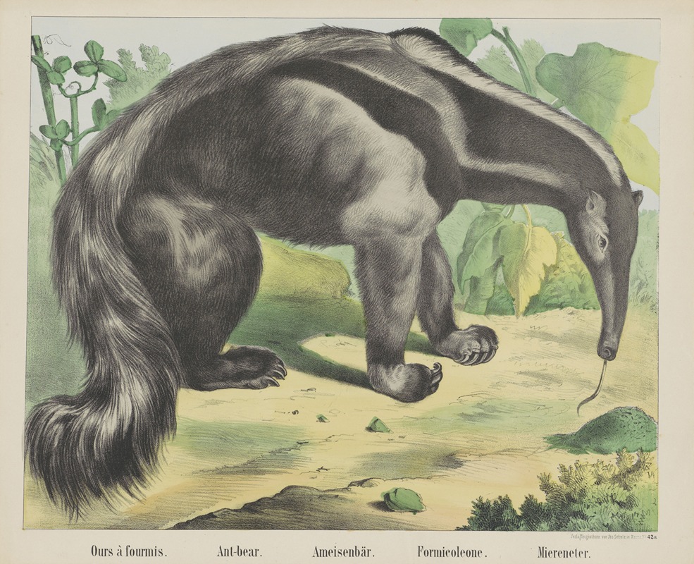 Ant-bear by Иосиф Шольц, 1829 - 1880 — digital art print download