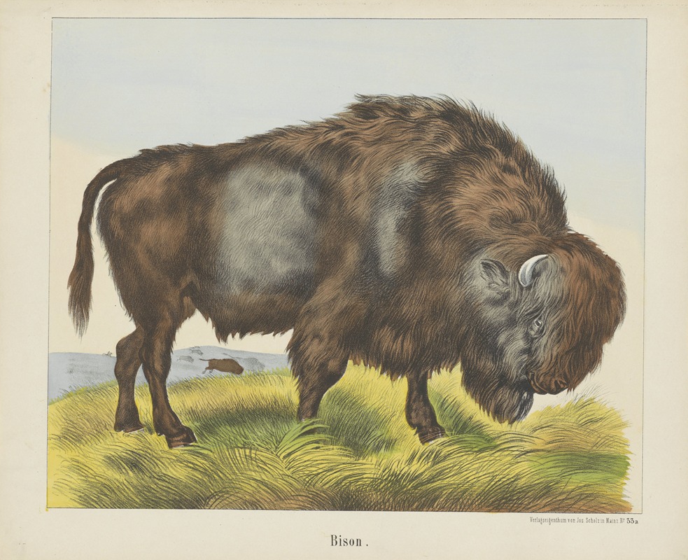 Bison by Иосиф Шольц, 1829 - 1880 — digital art print download