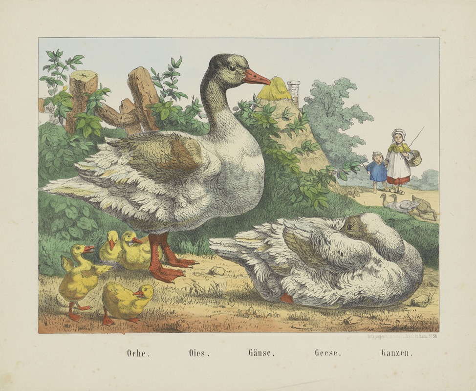 Geese by Иосиф Шольц, 1829 - 1880 — digital art print download
