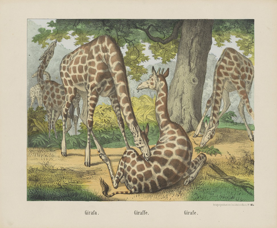 Giraffe by Иосиф Шольц, 1829 - 1880 — digital art print download