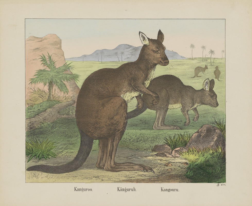 Kangaroo by Иосиф Шольц, 1829 - 1880 — digital art print download