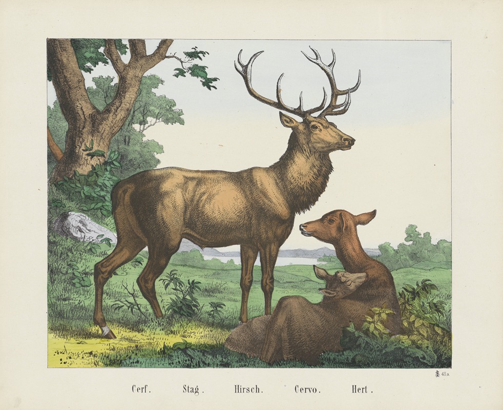 Stag by Иосиф Шольц, 1829 - 1880 — digital art print download