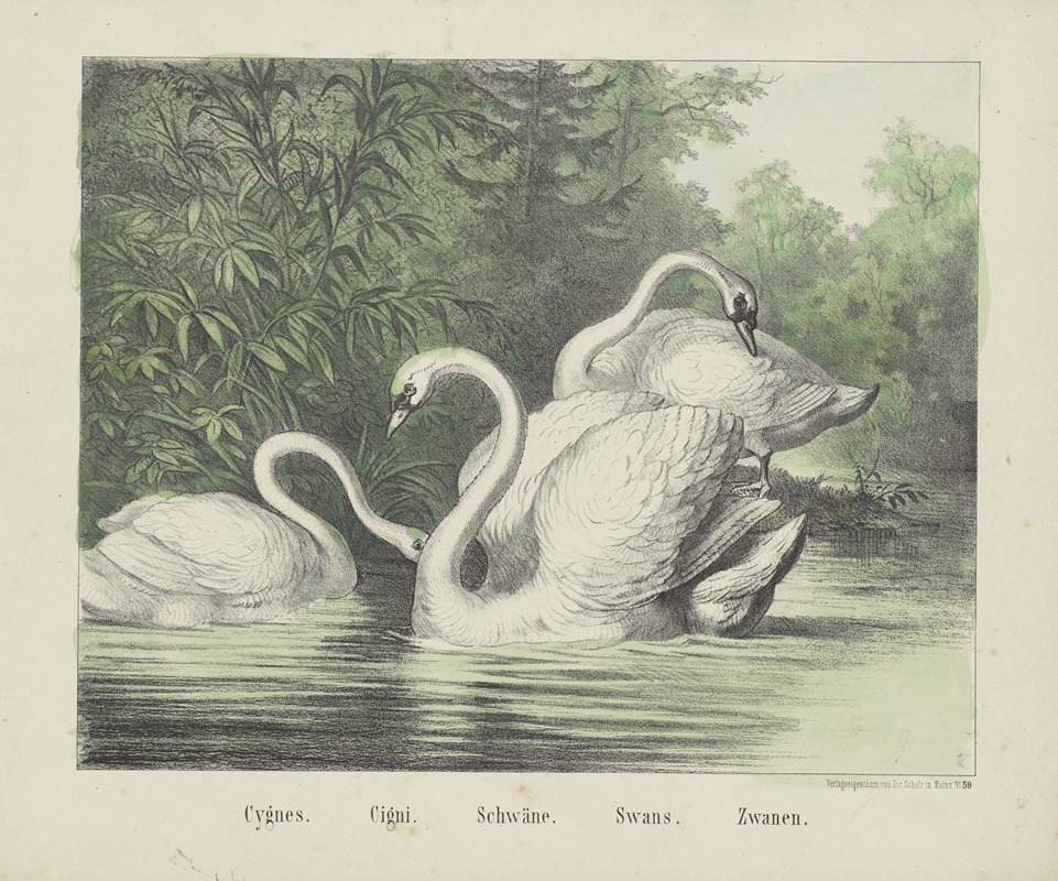 Swans by Иосиф Шольц, 1829 - 1880 — digital art print download