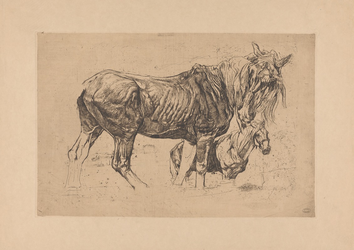 Twee paarden by Питер Дюпон, 1897 — digital art print download