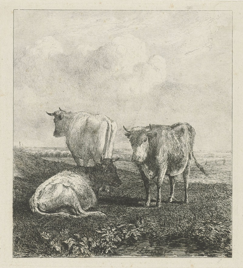 Drie koeien in een weide by Дирк Ван Локхорст — digital art print download