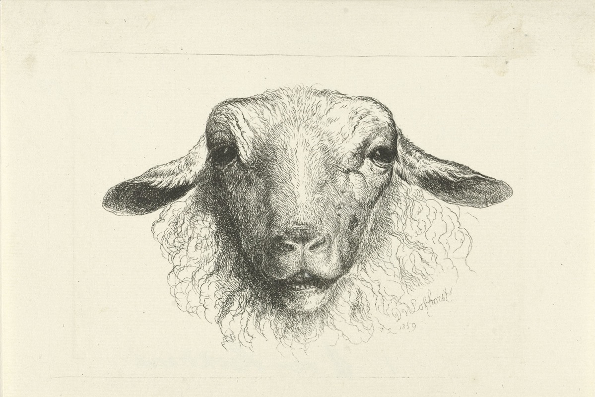 Kop van een schaap, van voren by Дирк Ван Локхорст, 1859 — digital art print download