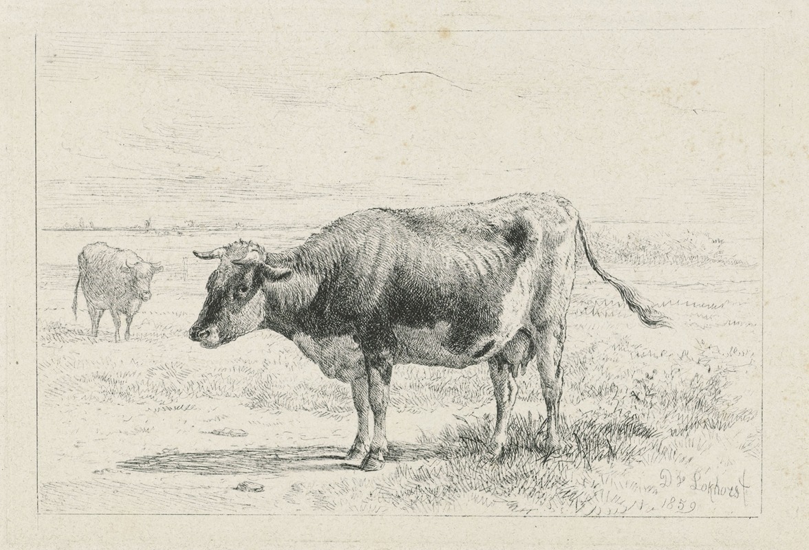 Twee koeien in een weide — Dirk Van Lokhorst