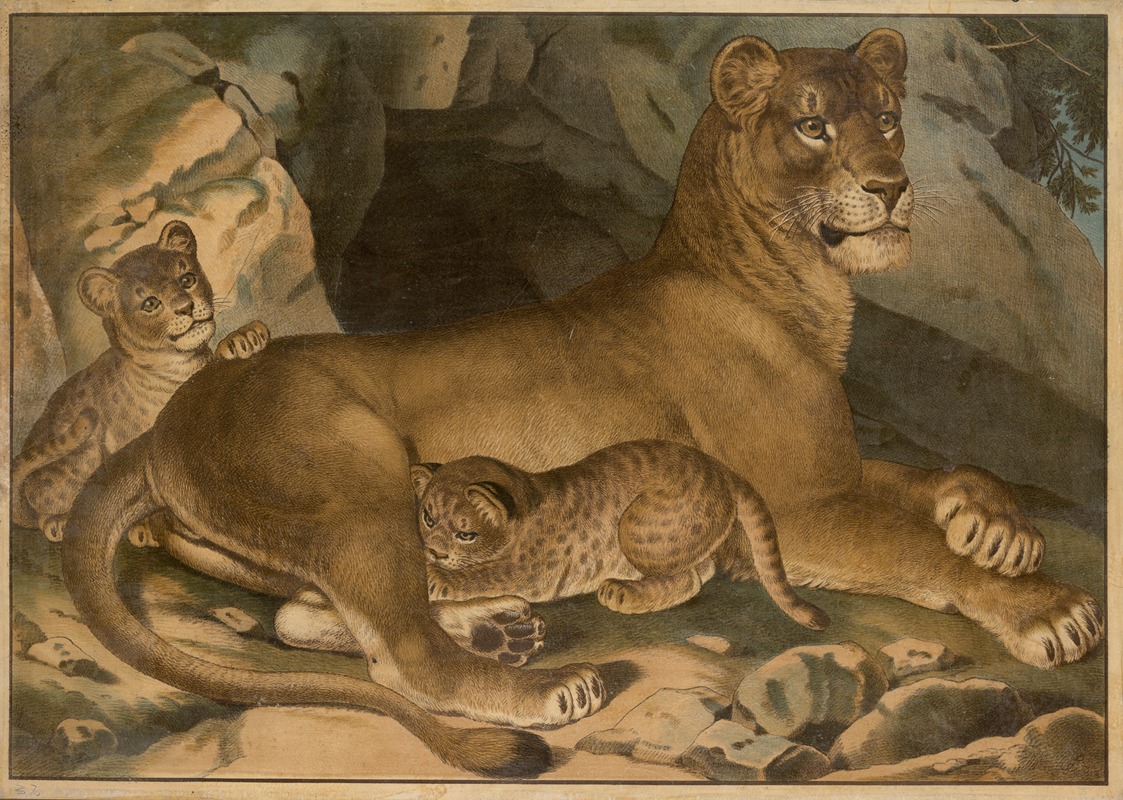 Lion and lioness by Emil Sachsse, 1888 — digital art print download