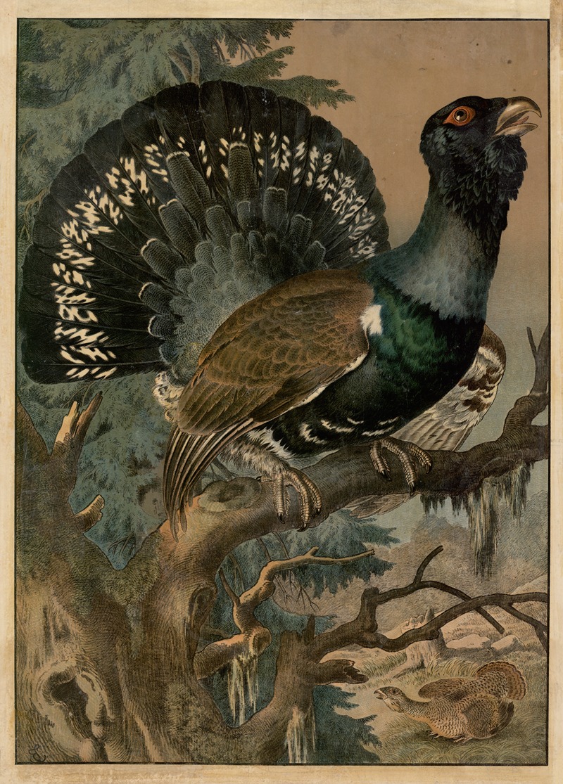 Urhøne by Emil Sachsse, 1888 — digital art print download
