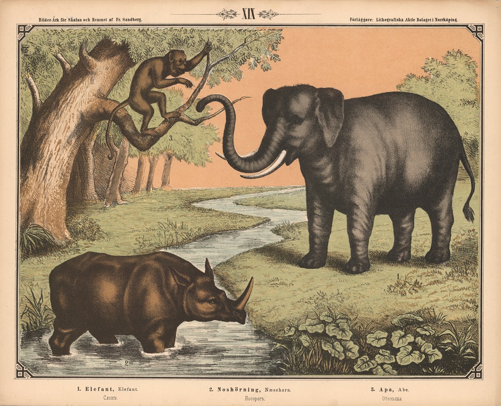Elefant, næsehorn og abe by Фредрик Сандберг, 1875 — digital art print download