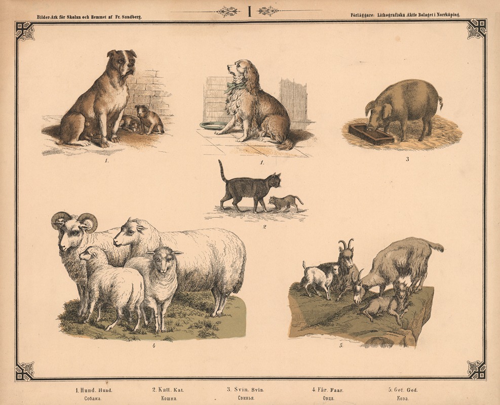 Hund, kat, svin, får og ged by Фредрик Сандберг, 1875 — digital art print download