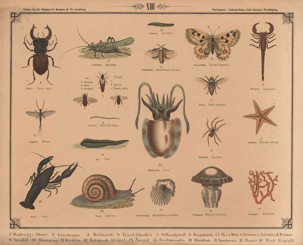 Insekter og kryb by Фредрик Сандберг, 1875 — digital art print download