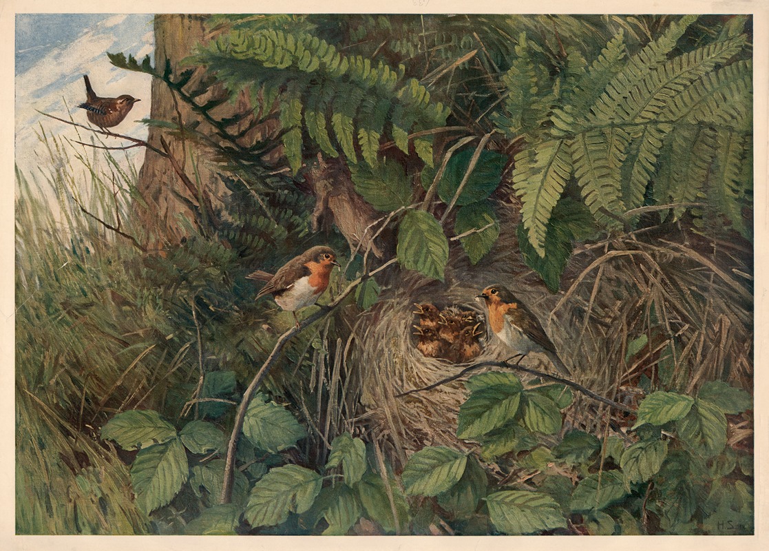 European robin by Hans Schmidt, 1913 — digital art print download
