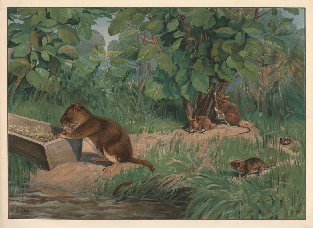 Rats and mice by Hans Schmidt, 1910 — digital art print download