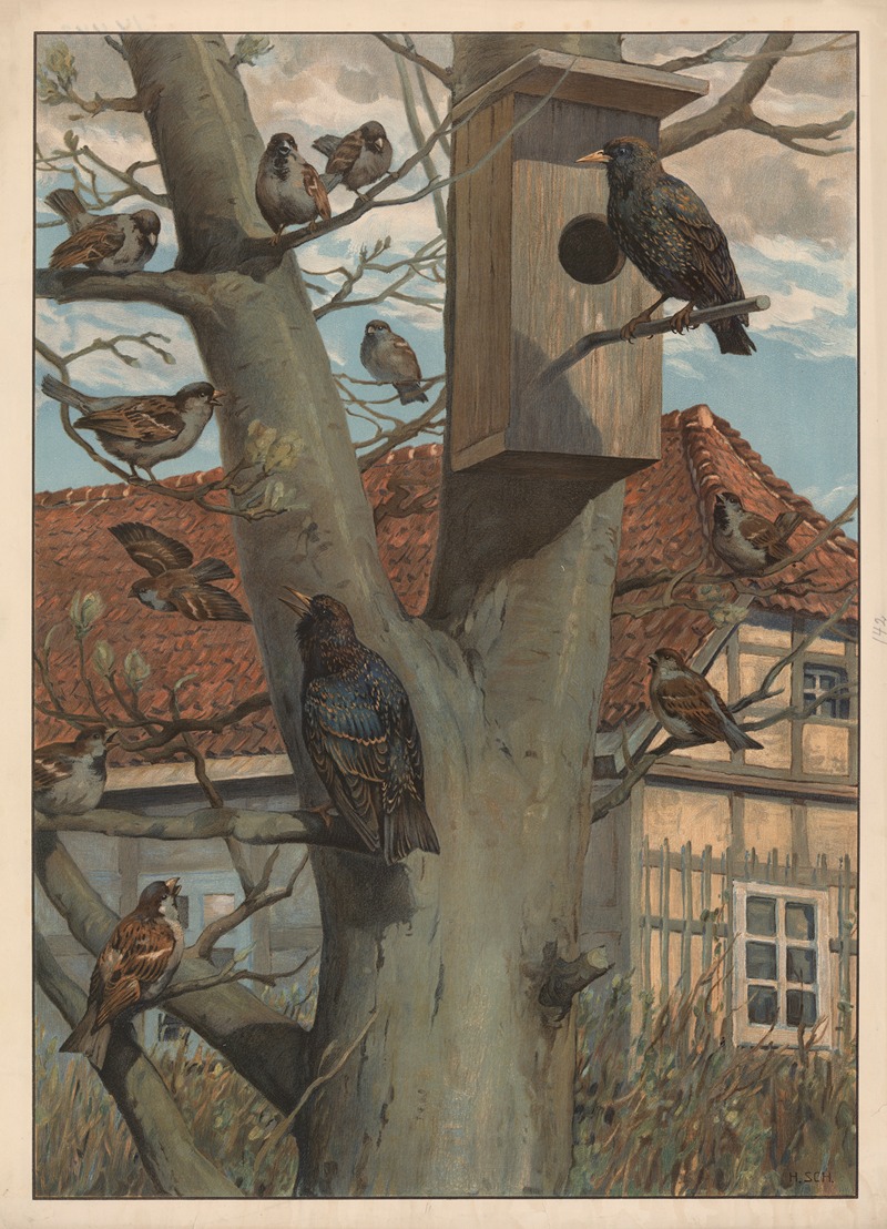 Starling and House bunting by Hans Schmidt, 1910 — digital art print download