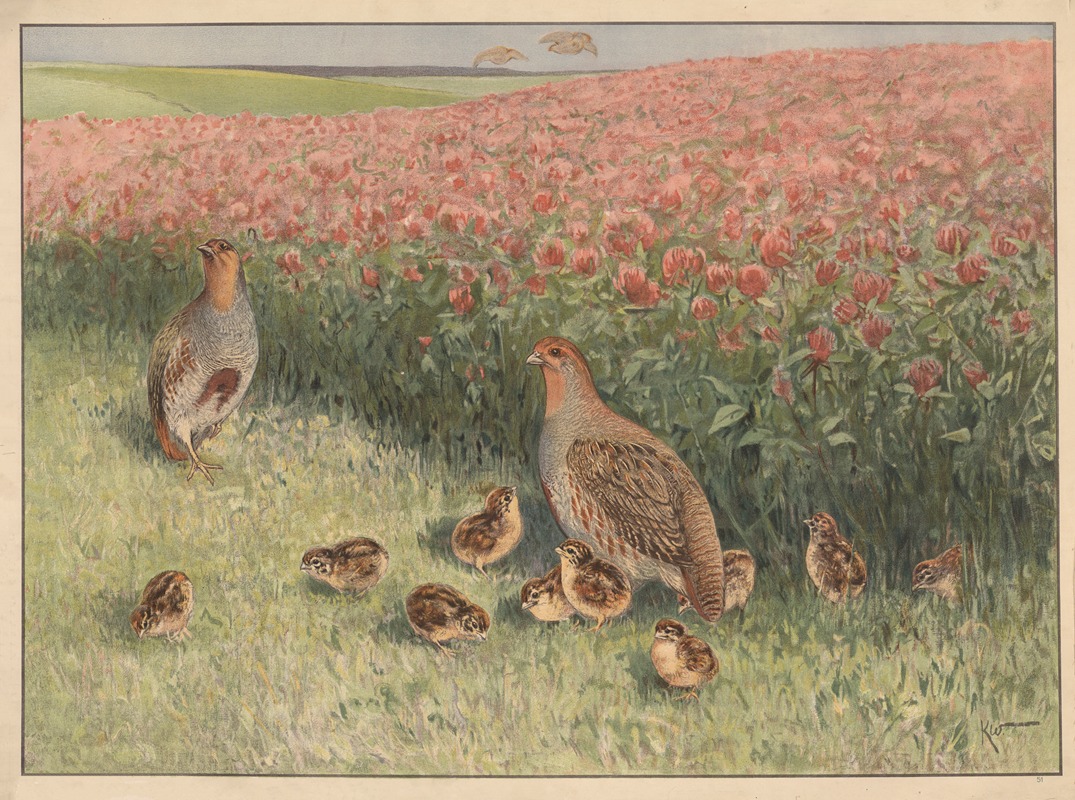 Agerhøne by Карл Вагнер, 1910 — digital art print download