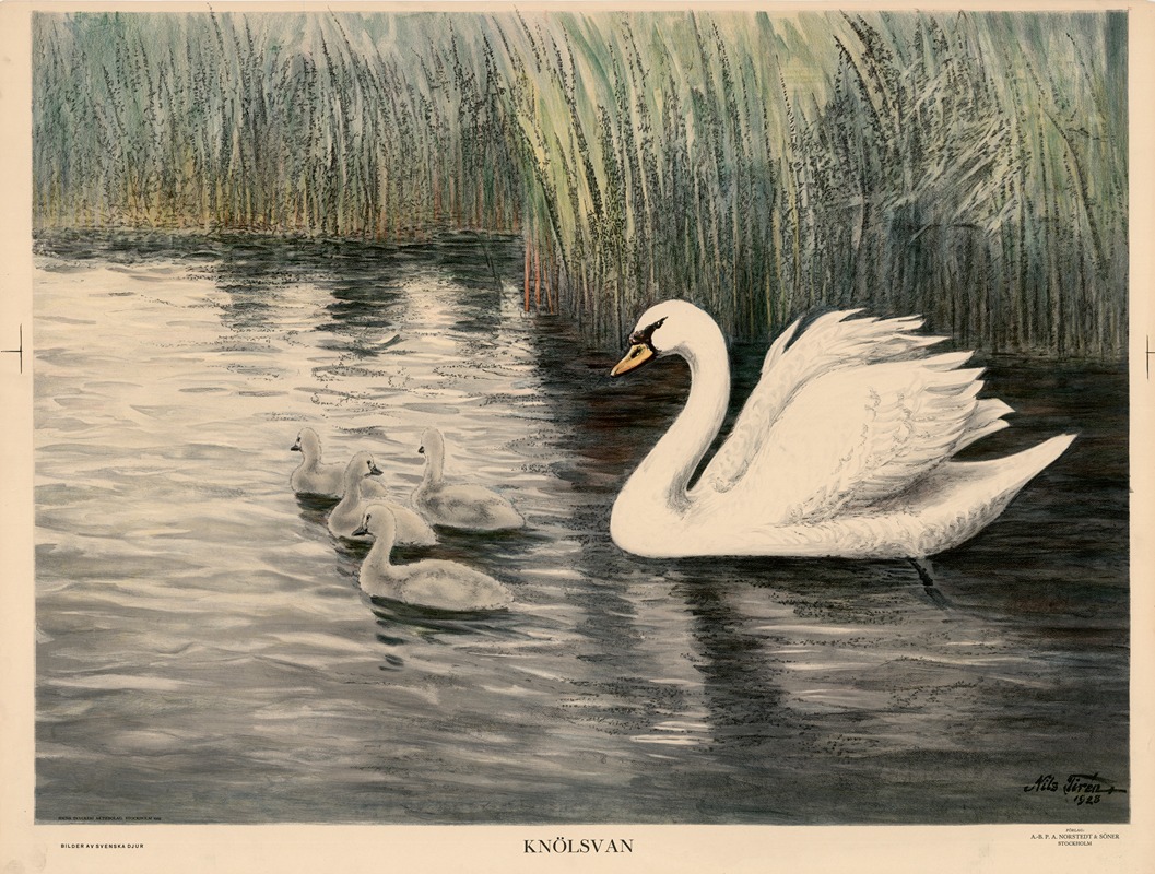 Knölsvan by Nils Tirén, 1929 — digital art print download