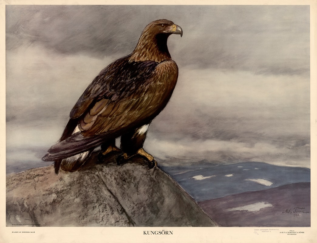 Kungsörn by Nils Tirén, 1934 — digital art print download