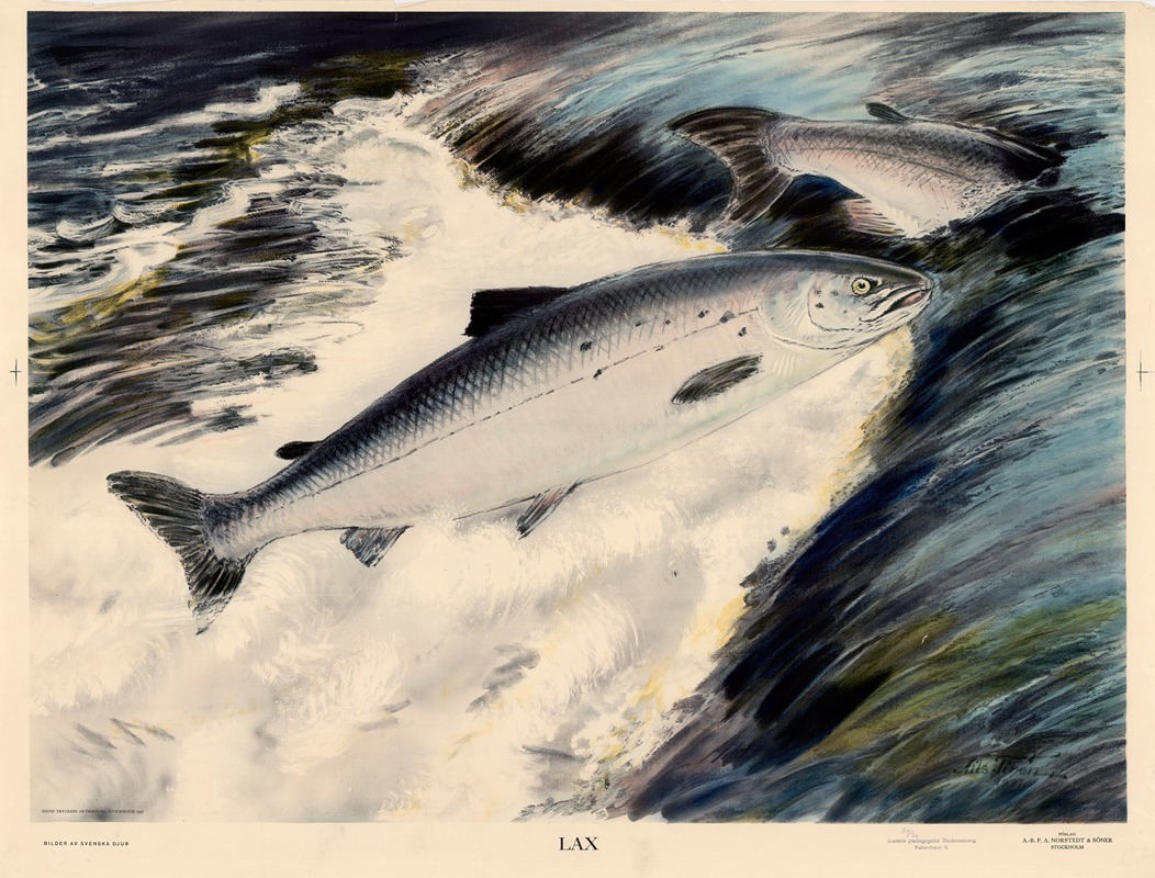 Lax by Nils Tirén, 1931 — digital art print download