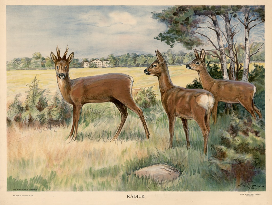 Rådjur by Nils Tirén, 1929 — digital art print download