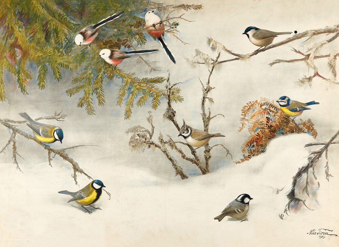 Titmouse by Nils Tirén, 1929 — digital art print download