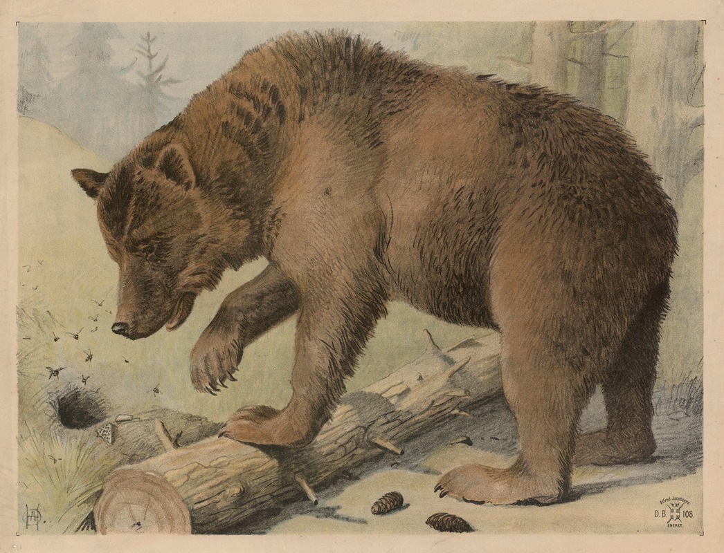 Bjørn by Олуф Август Хермансен, 1892 — digital art print download