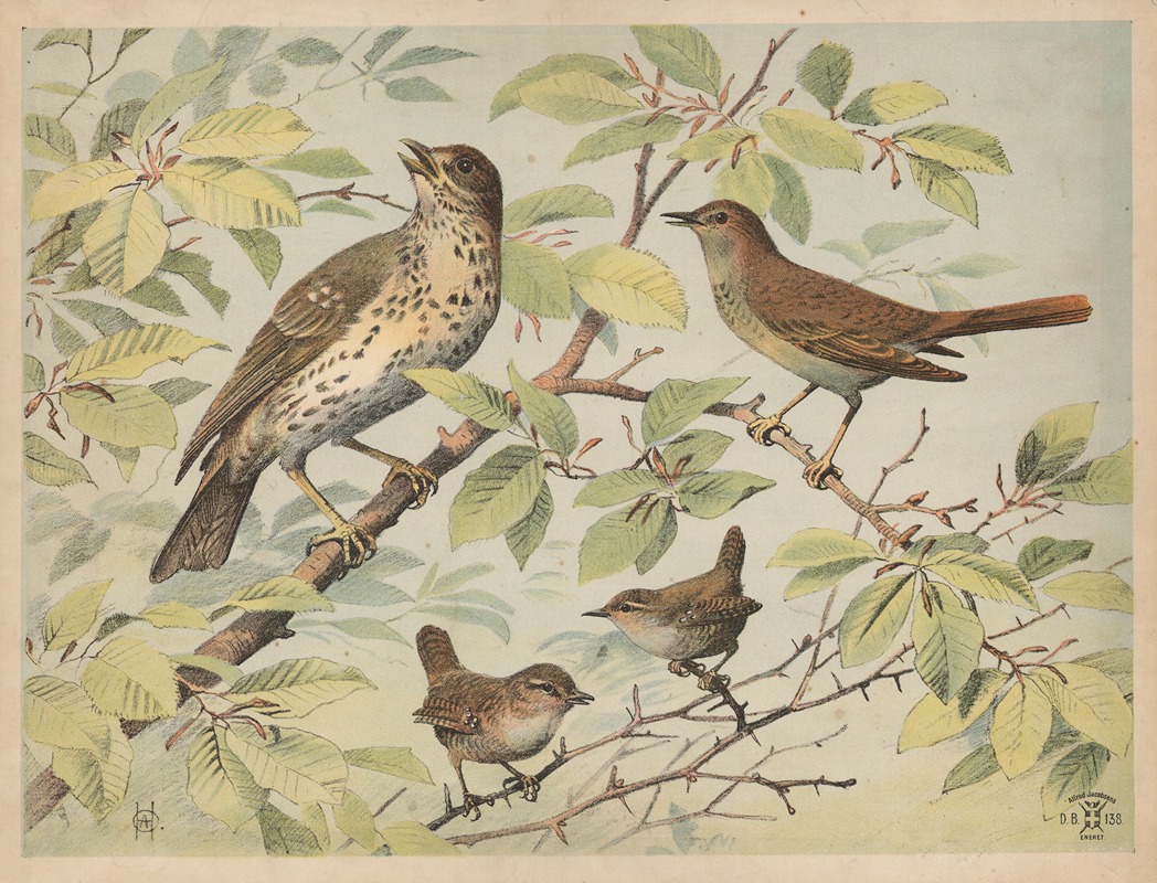 Drossel, nattergal og gærdesmutte by Олуф Август Хермансен, 1892 — digital art print download