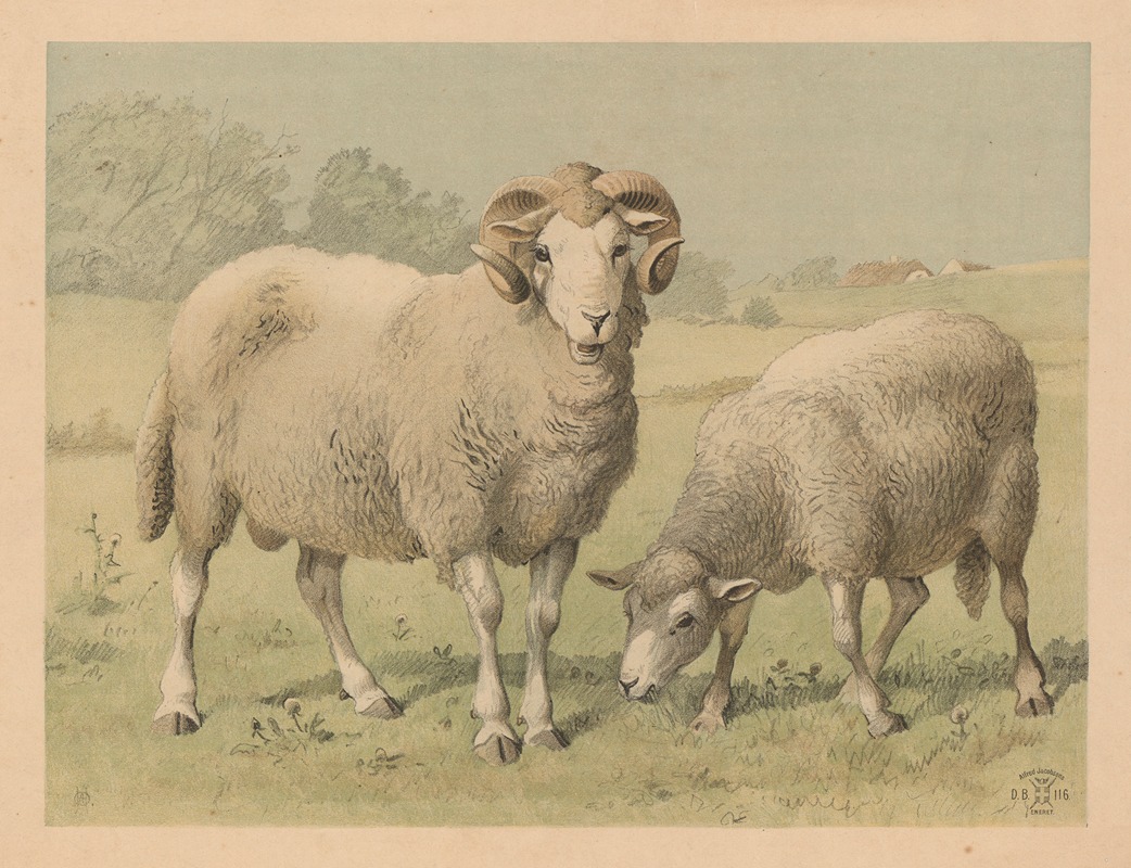Får by Oluf August Hermansen, 1892 — digital art print download