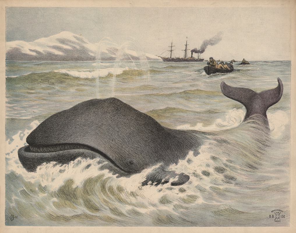 Grønlandshval by Oluf August Hermansen, 1892 — digital art print download