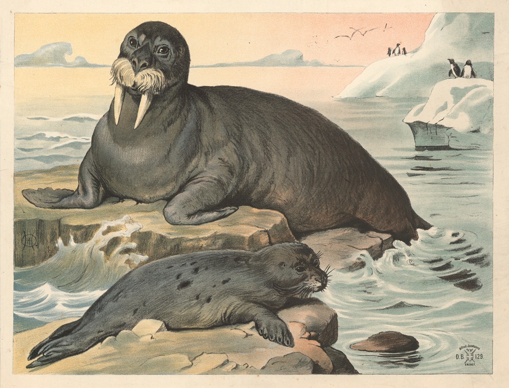 Hvalros, sæl by Oluf August Hermansen, 1892 — digital art print download